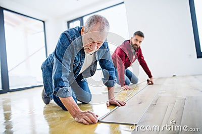 A mature man with his senior father laying vinyl flooring, a new home concept. Stock Photo