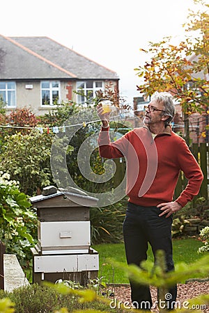 Mature Man Looking At Honey Produced By His Own Bees Stock Photo