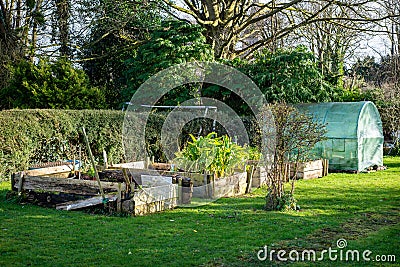 Mature raised bed self sustaining organic vegetable garden with large protective net greenhouse tent. Stock Photo