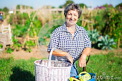 Mature woman having horticultural instruments in garden on day Stock Photo