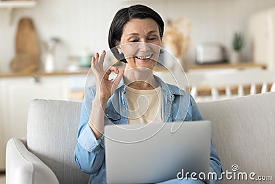 Mature woman sit on sofa with laptop showing okay gesture Stock Photo