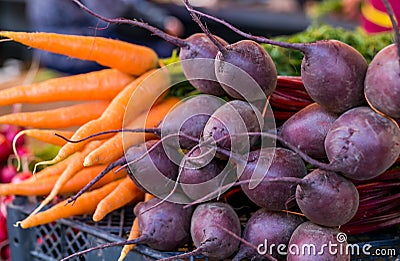 Mature young carrots and red beets on sale Stock Photo