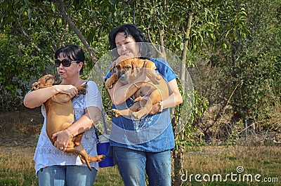 Matured women squeeze two boerboel pups Stock Photo
