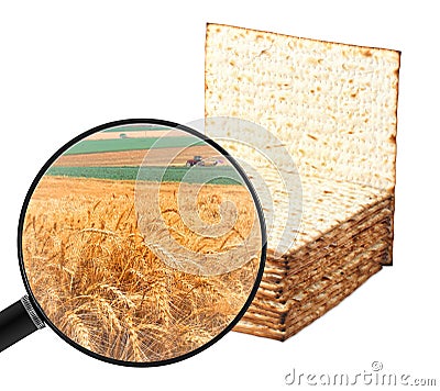 Matzoh. Jewish bread for Pesach. Agricultural wheat field shown in a magnifying glass. Stock Photo