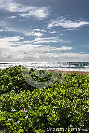 Maui coast, Hawaii Stock Photo