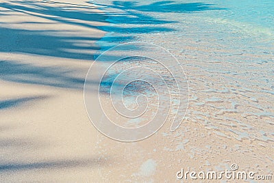 Maui - Coconut Palm Shadows Stock Photo