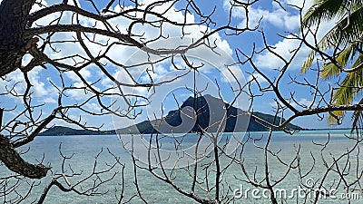 Maupiti island , volcanic island through branches, green vegetation on the beach of bora French Polynesia Stock Photo