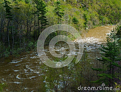 Maury River at Flood Stage in Goshen Pass Stock Photo