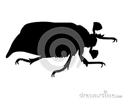 May beetle Vector Illustration