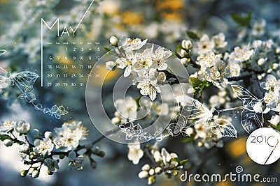 2019 May calendar spring flowers blossom. Beautiful white cherry bloom screen, desktop month 05, 2019. Colorful 2019 calendar Stock Photo
