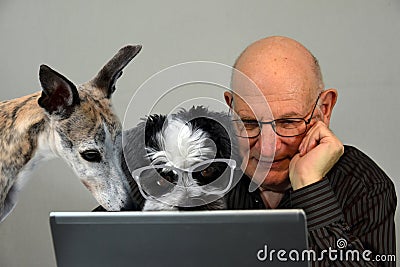 May we help you? Dogs and man working together, forming a team Stock Photo