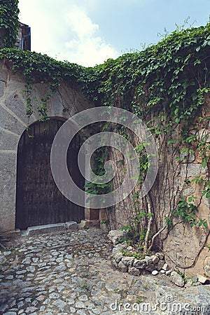 10 May 2018 Lluc Alcari, Majorca. Beautiful wooden door with green lianas Stock Photo