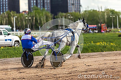 May 16, 2021, Russia, Central Moscow Racecourse. Finishing the first grey trotter on the test of lynx horses. Editorial Stock Photo