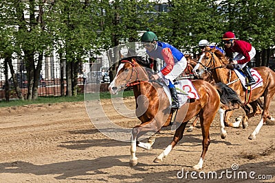 May 16, 2021, Russia, Central Moscow Racecourse. Racing to the frolic of young Arab horses. Editorial Stock Photo