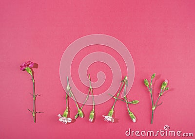 1 May Word made of flowers on pink background Stock Photo