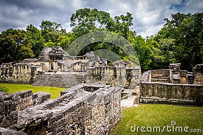 Mayan Acropolis at Tikal National Park - Guatemala Stock Photo