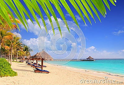 Mayan Riviera beach palm trees sunroof Caribbean Stock Photo