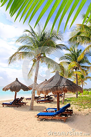 Mayan Riviera beach palm trees sunroof Caribbean Stock Photo