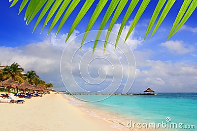 Mayan Riviera beach palm trees sunroof Caribbean Stock Photo