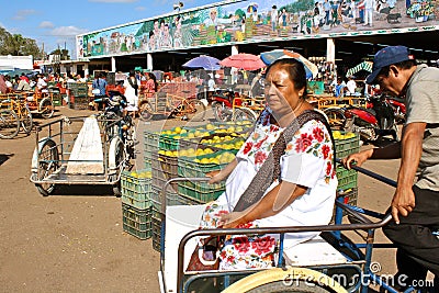 Mayan Woman, Fruit Market, Yucatan, Mexico Editorial Stock Photo
