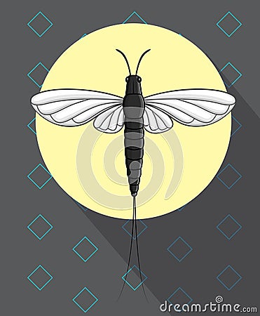 Mayfly Insect Flying Vector Illustration