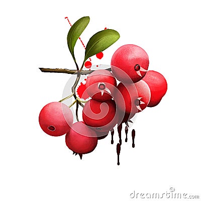 Mayhaw isolated on white. Crataegus aestivalis, known as the eastern mayhaw, shrub or small tree. Use in making mayhaw jelly. Cartoon Illustration