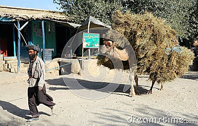 A man with a camel in Maymana in Faryab Province, Afghanistan Editorial Stock Photo