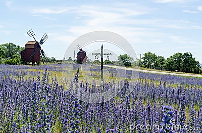 Maypole in a blue field at the swedish island Oland Stock Photo