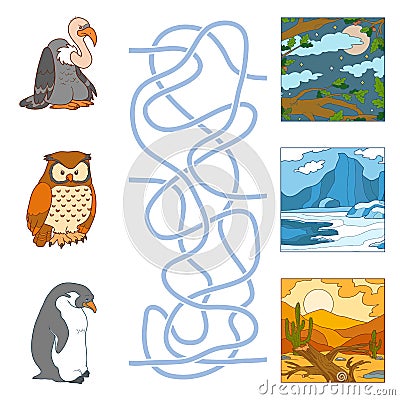 Maze game (birds and habitat) Vector Illustration