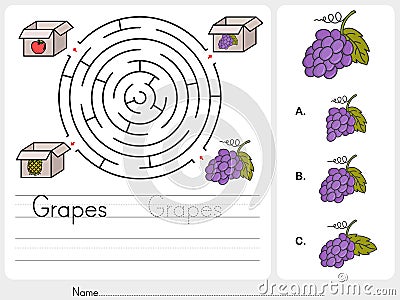 Maze game: Pick grapes box - Sheet for education Vector Illustration