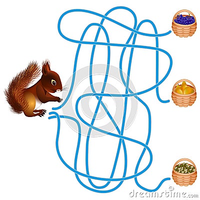 Maze game, squirrel. Vector Illustration