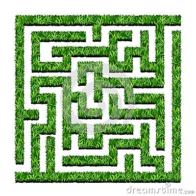 Maze of green bushes, labyrinth garden. Vector illustration. Iso Vector Illustration