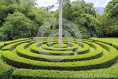 Maze at Peradeniya Royal Botanical Gardens - kandy - Sri lanka Stock Photo