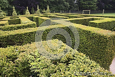 WENTWORTH, UK - June 1, 2018. Maze set within the grounds of Wentworth Woodhouse. Rotherham, South Yorkshire, UK - June 1, 2018 Editorial Stock Photo