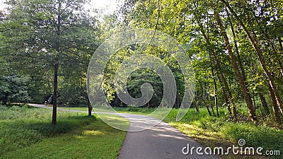 McDaniel Farm Park in Duluth Georgia - Forest Walk Stock Photo