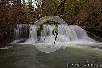 McDowell Creek Falls Closeup Portland OR USA Stock Photo