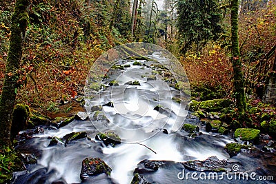 McDowell Creek in Oregon Stock Photo