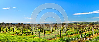 McLaren Vale wineries Stock Photo