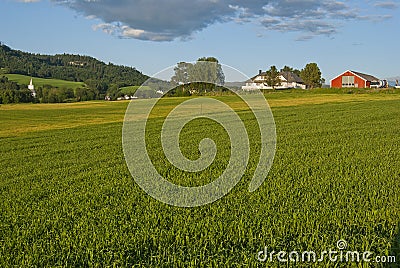 Meadow farm in Norway Stock Photo