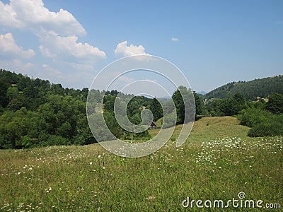 Meadow cottage Stock Photo