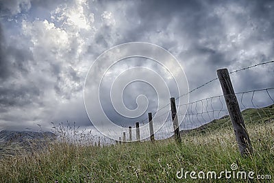 Meadow with fence with a cloudy sky Stock Photo