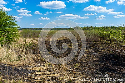 Meadow after the fire. Field edge damaged by fire Stock Photo