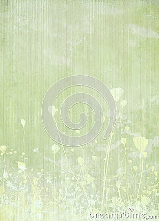 Meadow flower pale green background Stock Photo