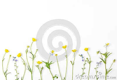 Meadow flowers with field buttercups and pansies isolated on white background. Top view. Flat lay. Stock Photo