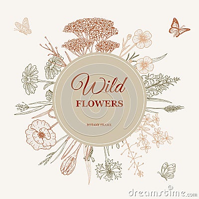 Meadow flowers frame. Hand drawn field wildflowers border. Vector illustration in sketch style. Aesthetic botany design for logo Vector Illustration