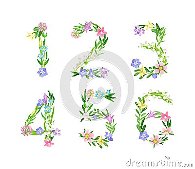 Meadow flowers numbers set. Numerals made of delicate flowers and green leaves cartoon vector illustration Vector Illustration