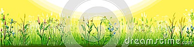 Meadow with flowers and sun. Morning day. Flowering grass. Grassy landscape. Vector background. Horizontal view of spring summer f Stock Photo