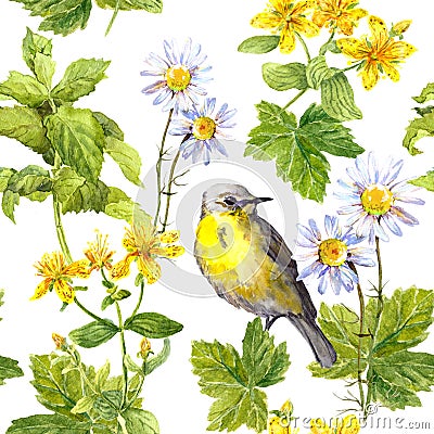 Meadow flowers, wild grass, bird. Floral repeating pattern. Watercolour Stock Photo