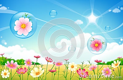 Meadow Garden Flowers and Bubbles Stock Photo