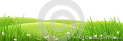 Meadow, green grass and flowers Vector Illustration